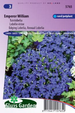 Garden Lobelia Emperor William (Lobelia erinus) 7500 seeds